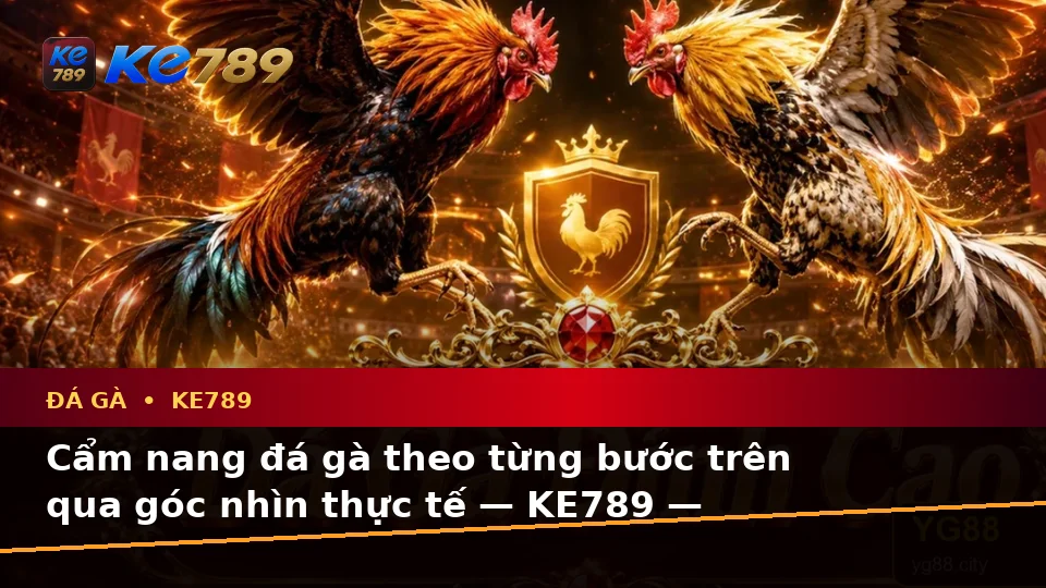 Cẩm nang đá gà theo từng bước trên qua góc nhìn thực tế — KE789 — Cách đối chiếu thông tin trước khi tham gia