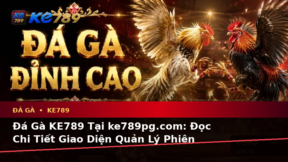 Đá Gà KE789 Tại ke789pg.com: Đọc Chi Tiết Giao Diện Quản Lý Phiên Chơi Và Kiểm Tra Đường Dẫn, Kênh Hỗ Trợ Trước Khi Đăng Nhập – Góc Kiểm Chứng Theo Tên Miền