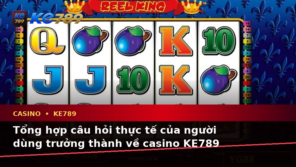 Tổng Hợp Câu Hỏi Thực Tế Của Người Dùng Trưởng Thành Về Casino KE789: Trải Nghiệm Toàn Diện Tại ke789pg.com