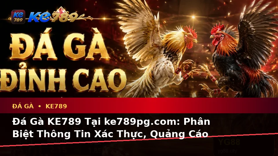 Đá Gà KE789 Tại ke789pg.com: Phân Biệt Thông Tin Xác Thực, Quảng Cáo Và Kỳ Vọng Thực Tế Qua Quản Lý Phiên Chơi Trực Tuyến