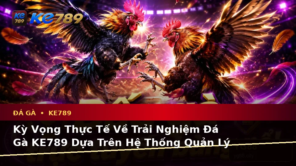 Đá Gà KE789 Tại ke789pg.com: Phân Biệt Thông Tin Xác Thực, Quảng Cáo Và Kỳ Vọng Thực Tế Qua Quản Lý Phiên Chơi Trực Tuyến
