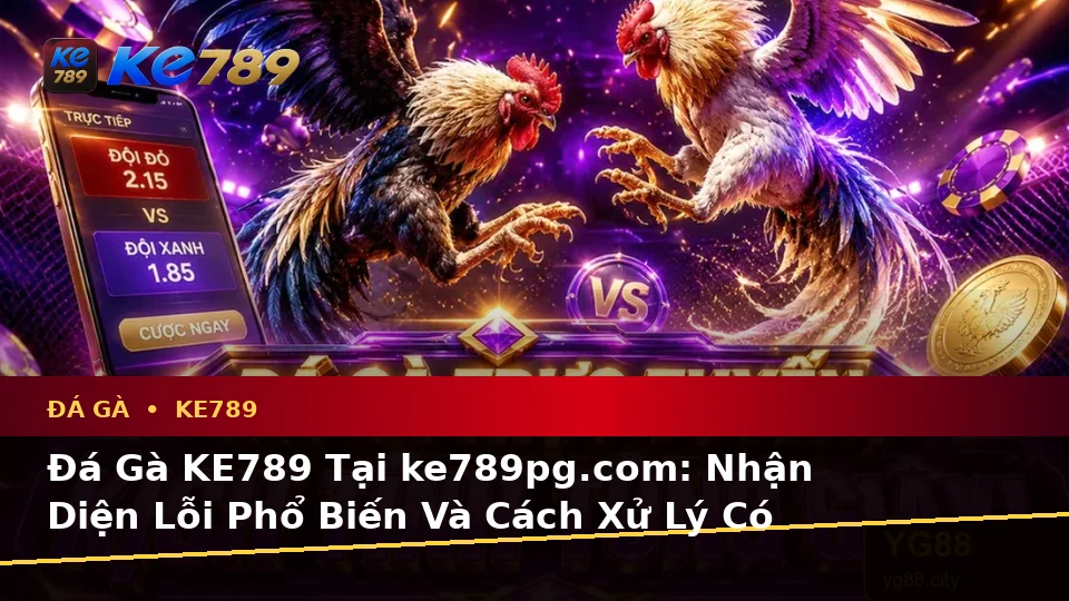 Đá Gà KE789 Tại ke789pg.com: Nhận Diện Lỗi Phổ Biến Và Cách Xử Lý Có Trách Nhiệm Trong Quản Lý Phiên Chơi Trực Tuyến