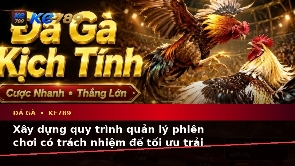 Đá Gà KE789 Tại ke789pg.com: Nhận Diện Lỗi Phổ Biến Và Cách Xử Lý Có Trách Nhiệm Trong Quản Lý Phiên Chơi Trực Tuyến
