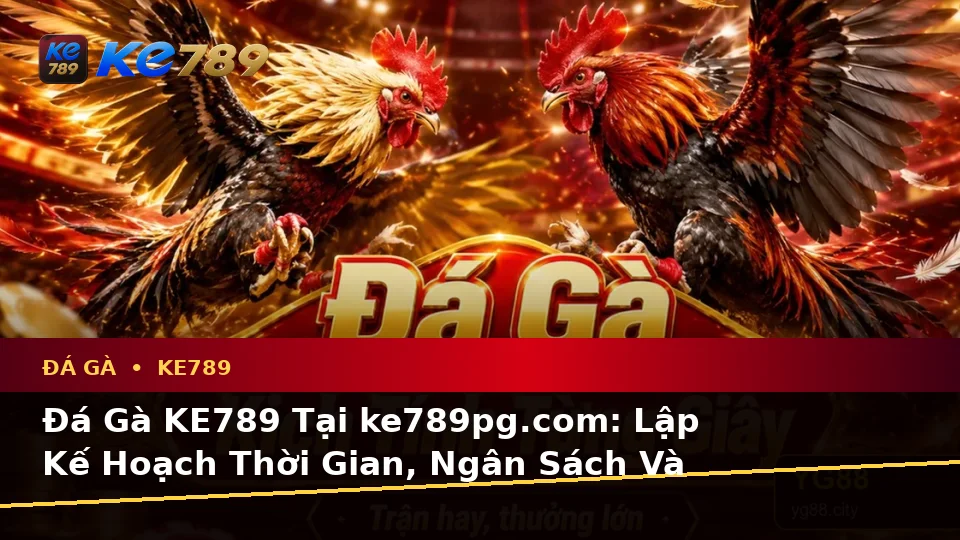 Đá Gà KE789 Tại ke789pg.com: Lập Kế Hoạch Thời Gian, Ngân Sách Và Lịch Sử Sử Dụng Cho Trải Nghiệm Toàn Diện