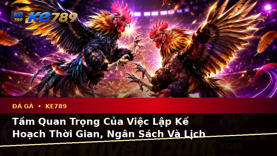 Đá Gà KE789 Tại ke789pg.com: Lập Kế Hoạch Thời Gian, Ngân Sách Và Lịch Sử Sử Dụng Cho Trải Nghiệm Toàn Diện