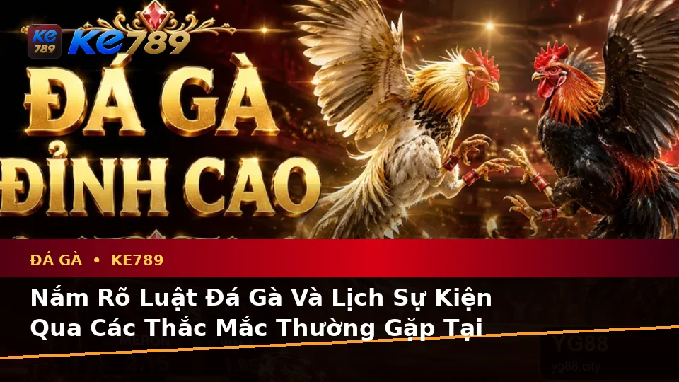 Đá Gà KE789 Tại ke789pg.com: Tổng Hợp Câu Hỏi Thực Tế Của Người Dùng Trưởng Thành Về Quản Lý Phiên Chơi Và Trải Nghiệm Toàn Diện
