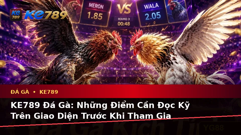 KE789 Đá Gà: Những Điểm Cần Đọc Kỹ Trên Giao Diện Trước Khi Tham Gia