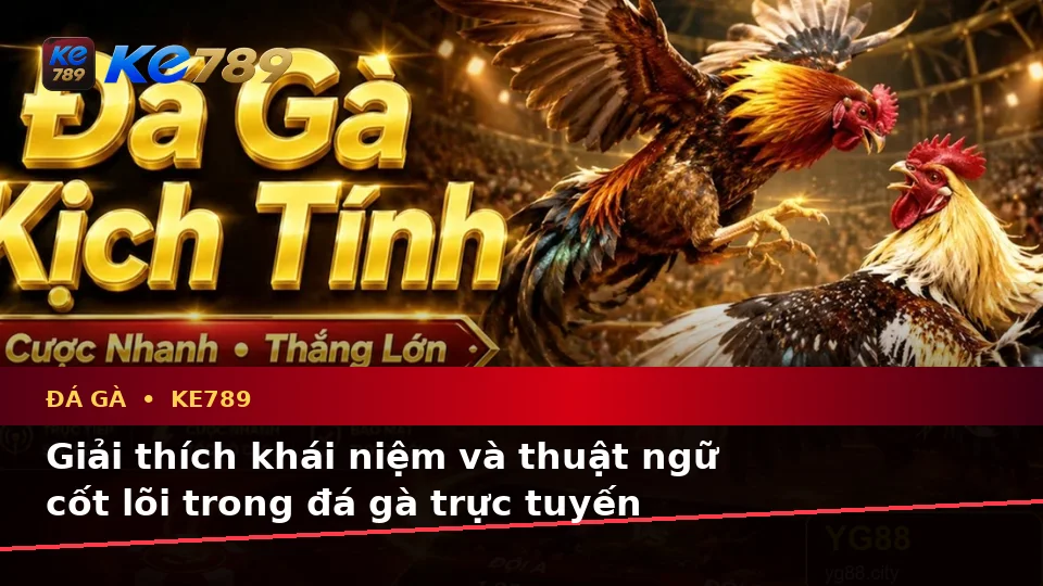 Giải Thích Khái Niệm Và Thuật Ngữ Cốt Lõi Của Đá Gà KE789: Trải Nghiệm Toàn Diện Qua Quản Lý Phiên Chơi Tại ke789pg.com