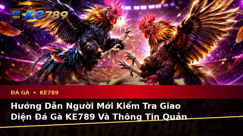 Hướng Dẫn Người Mới Kiểm Tra Giao Diện Đá Gà KE789 Và Thông Tin Quản Lý Phiên Chơi Trực Tuyến Tại ke789pg.com