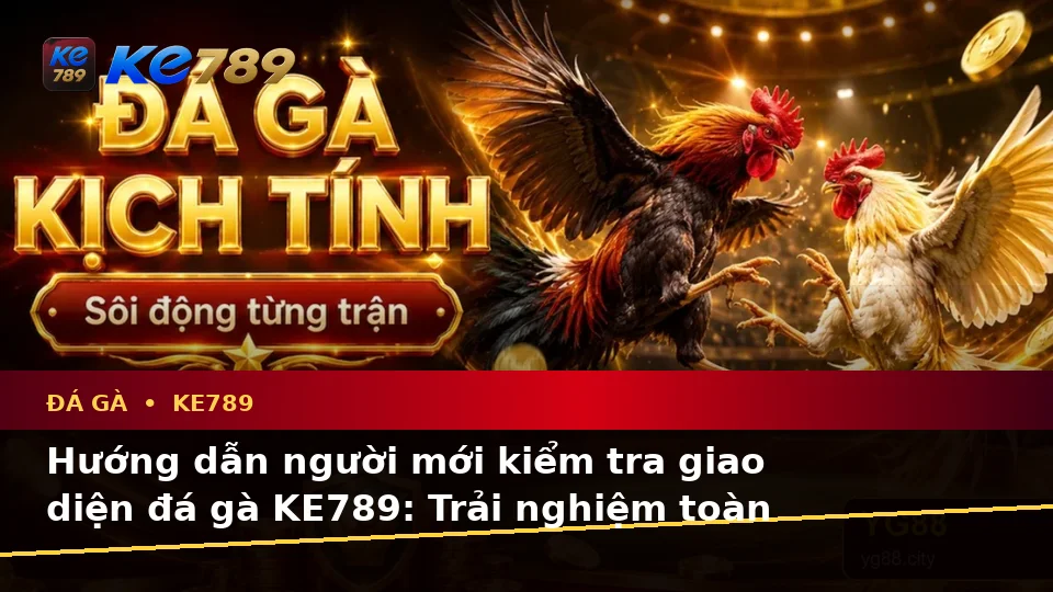 Hướng Dẫn Người Mới Kiểm Tra Giao Diện Đá Gà KE789 Và Thông Tin Quản Lý Phiên Chơi Trực Tuyến Tại ke789pg.com