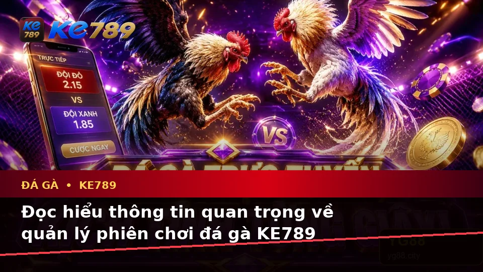 Hướng Dẫn Người Mới Kiểm Tra Giao Diện Đá Gà KE789 Và Thông Tin Quản Lý Phiên Chơi Trực Tuyến Tại ke789pg.com