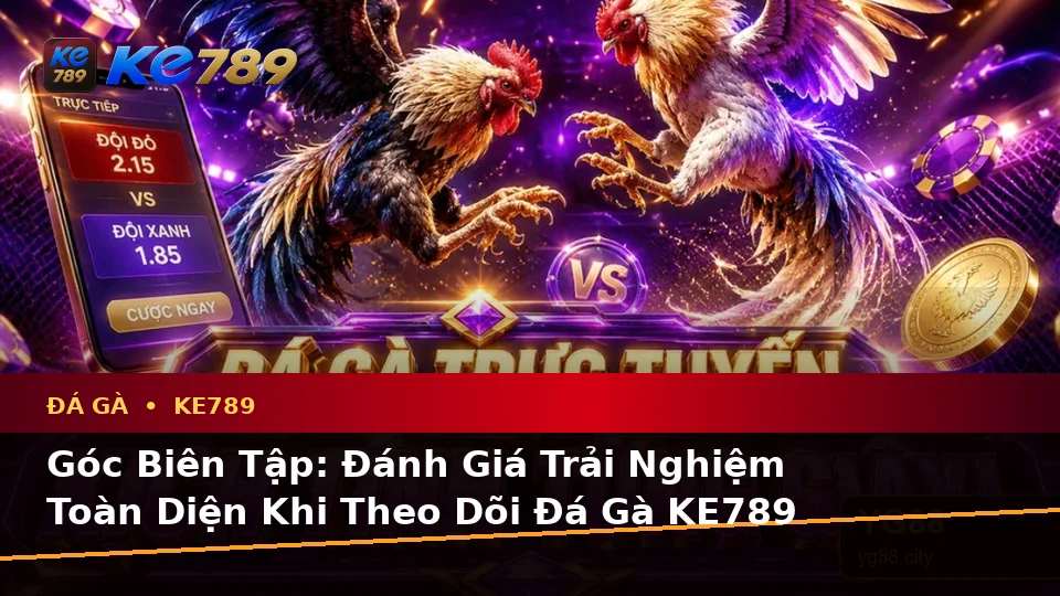 Đánh Giá Trải Nghiệm Đá Gà KE789 Trên Điện Thoại: Quản Lý Phiên Chơi Trực Tuyến Toàn Diện Tại ke789pg.com