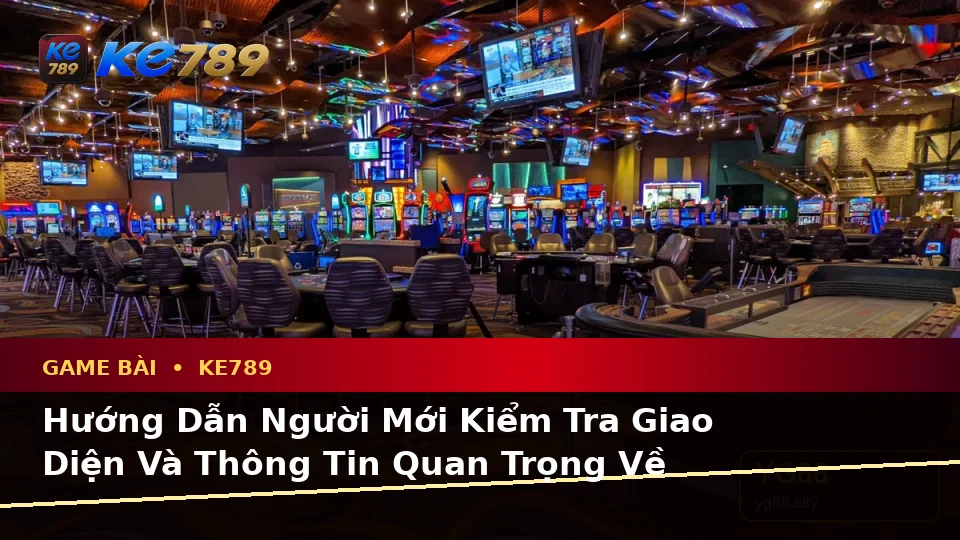 Hướng Dẫn Người Mới Kiểm Tra Giao Diện Và Thông Tin Quan Trọng Về Game Bài KE789 Với Trải Nghiệm Toàn Diện Tại ke789pg.com