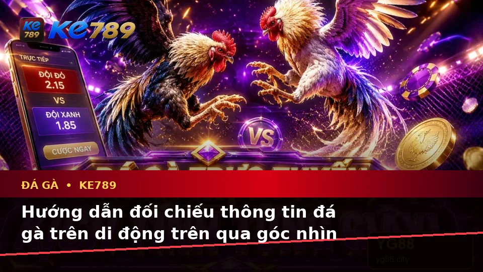 Hướng dẫn đối chiếu thông tin đá gà trên di động trên qua góc nhìn — KE789 — Mẹo sử dụng an toàn trên thiết bị di động
