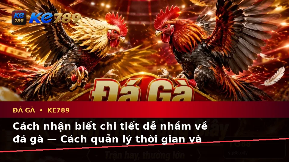 Cách nhận biết chi tiết dễ nhầm về đá gà — Cách quản lý thời gian và giới hạn cá nhân — KE789