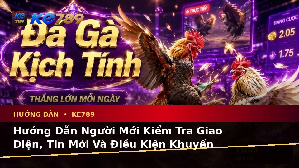 Hướng Dẫn Người Mới Kiểm Tra Giao Diện, Tin Mới Và Điều Kiện Khuyến Mãi KE789 Tại ke789pg.com