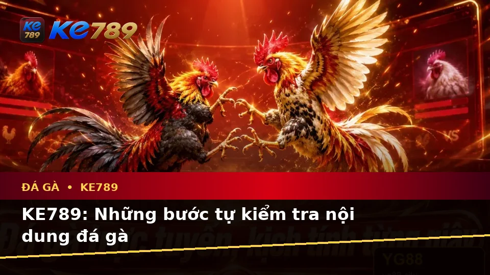 KE789: Những bước tự kiểm tra nội dung đá gà